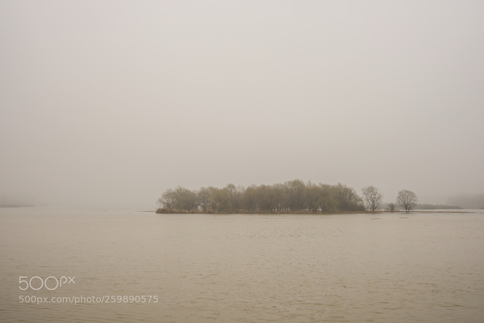 Sony a7 II sample photo. Dsc photography