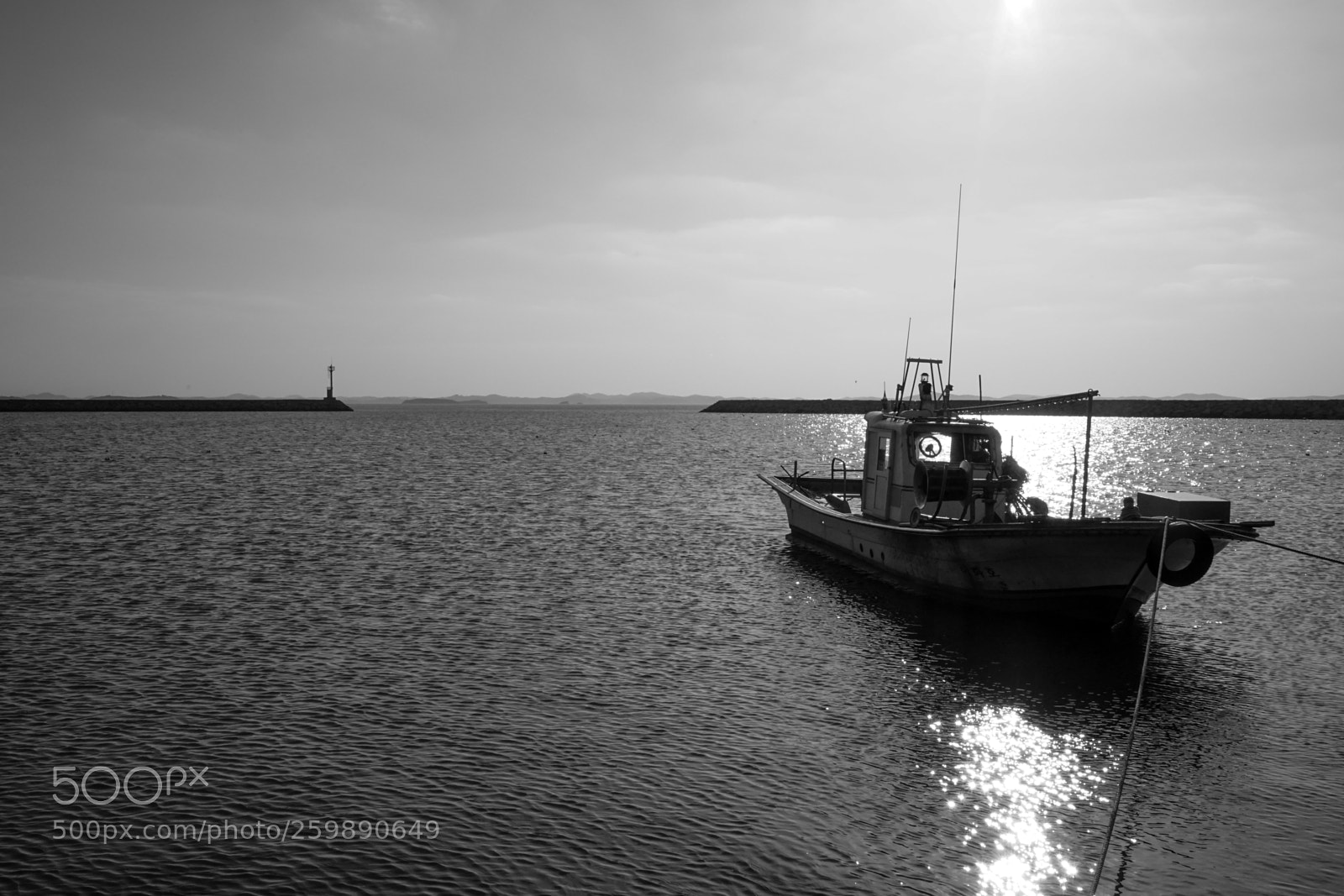Sony a7 II sample photo. Dsc photography
