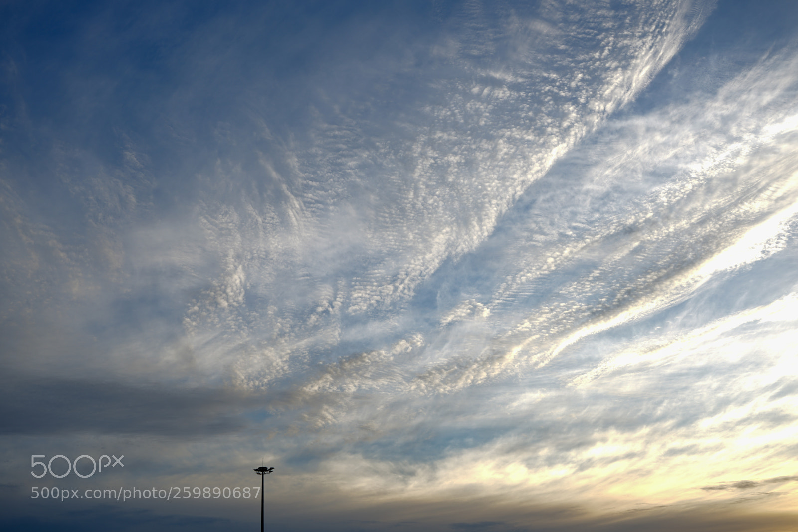 Sony a7 II sample photo. Dsc photography