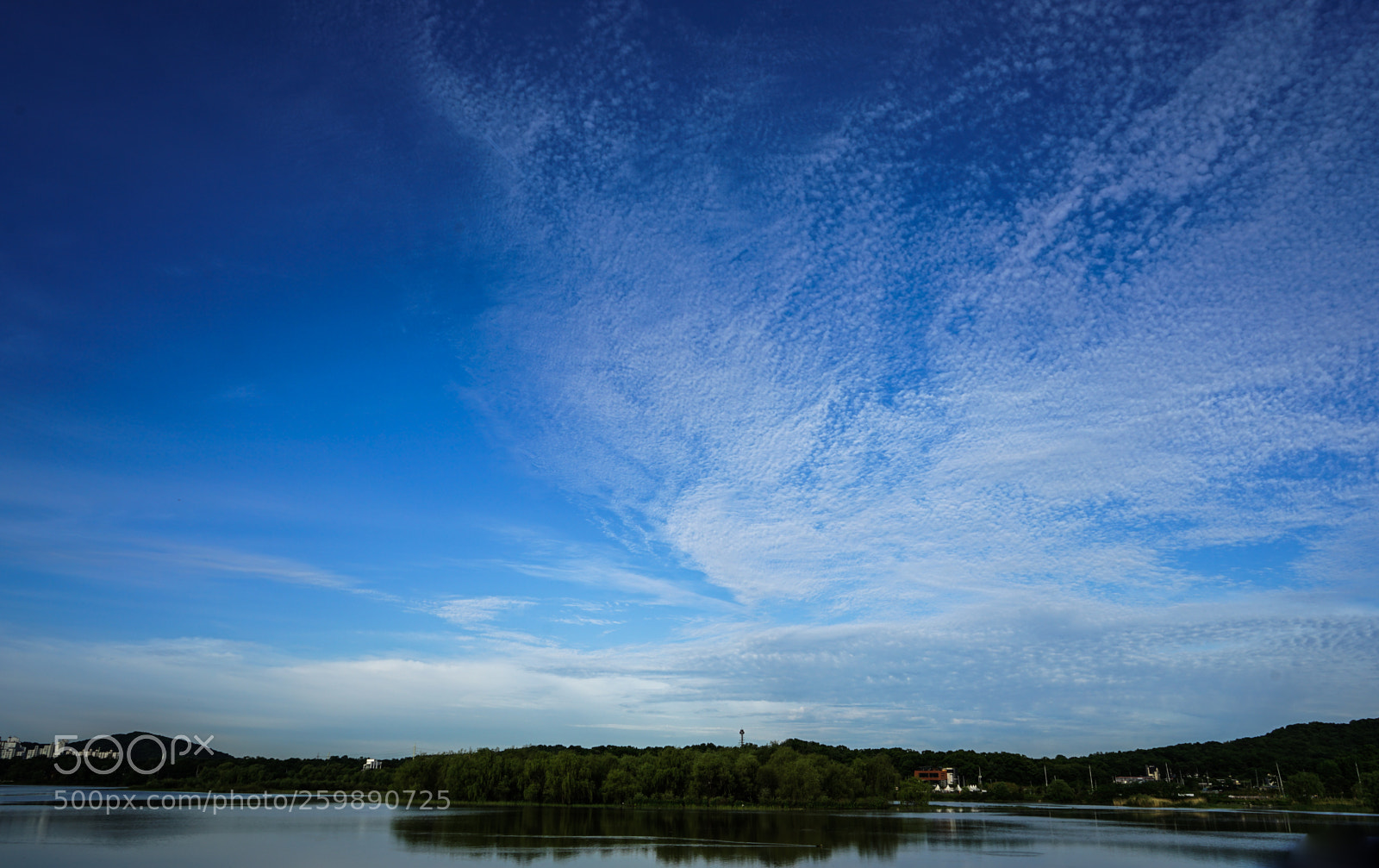 Sony a7 II sample photo. Dsc photography