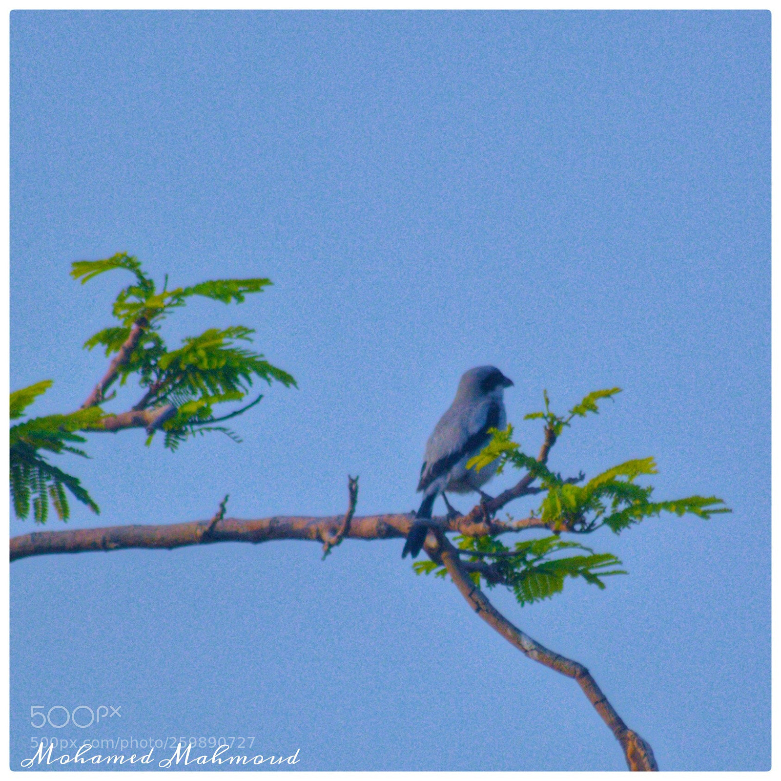 Nikon D3200 sample photo. Untitled photography