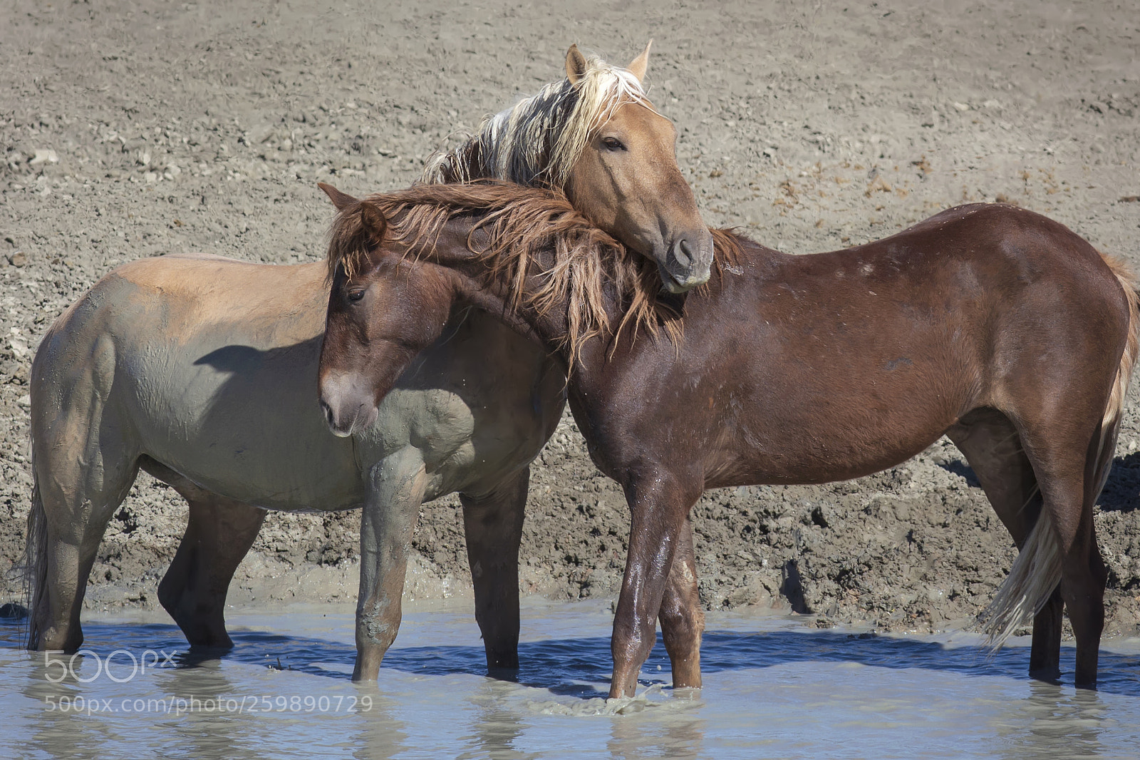 Nikon D7100 sample photo. Two members of a photography