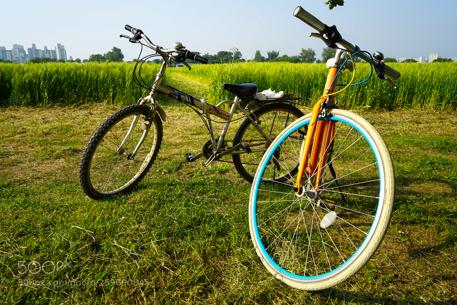 Sony a7 II sample photo. Dsc photography