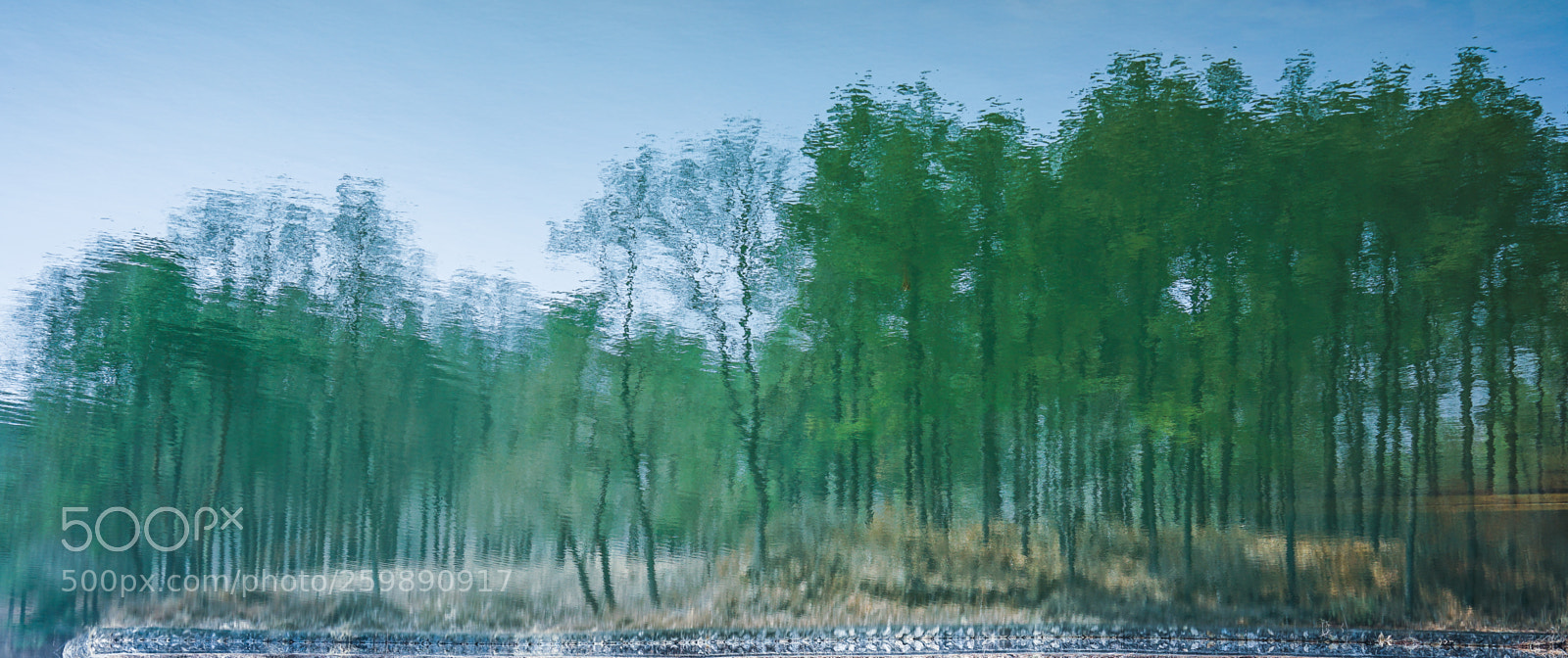 Sony a7 II sample photo. Dsc photography