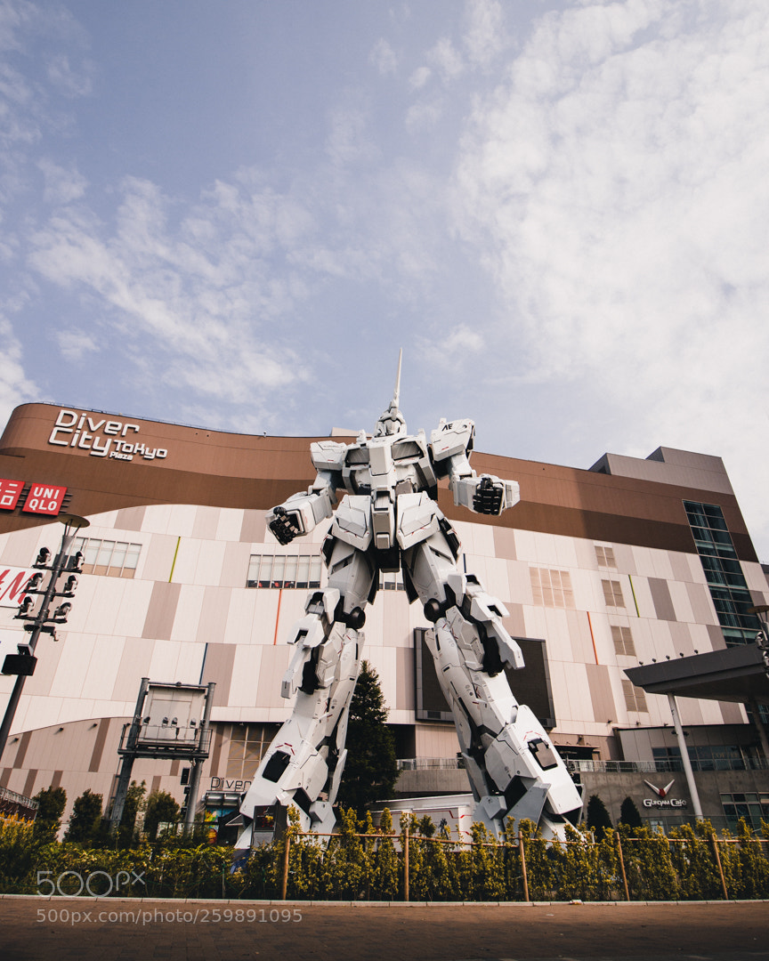 Canon EOS 600D (Rebel EOS T3i / EOS Kiss X5) sample photo. Mg photography