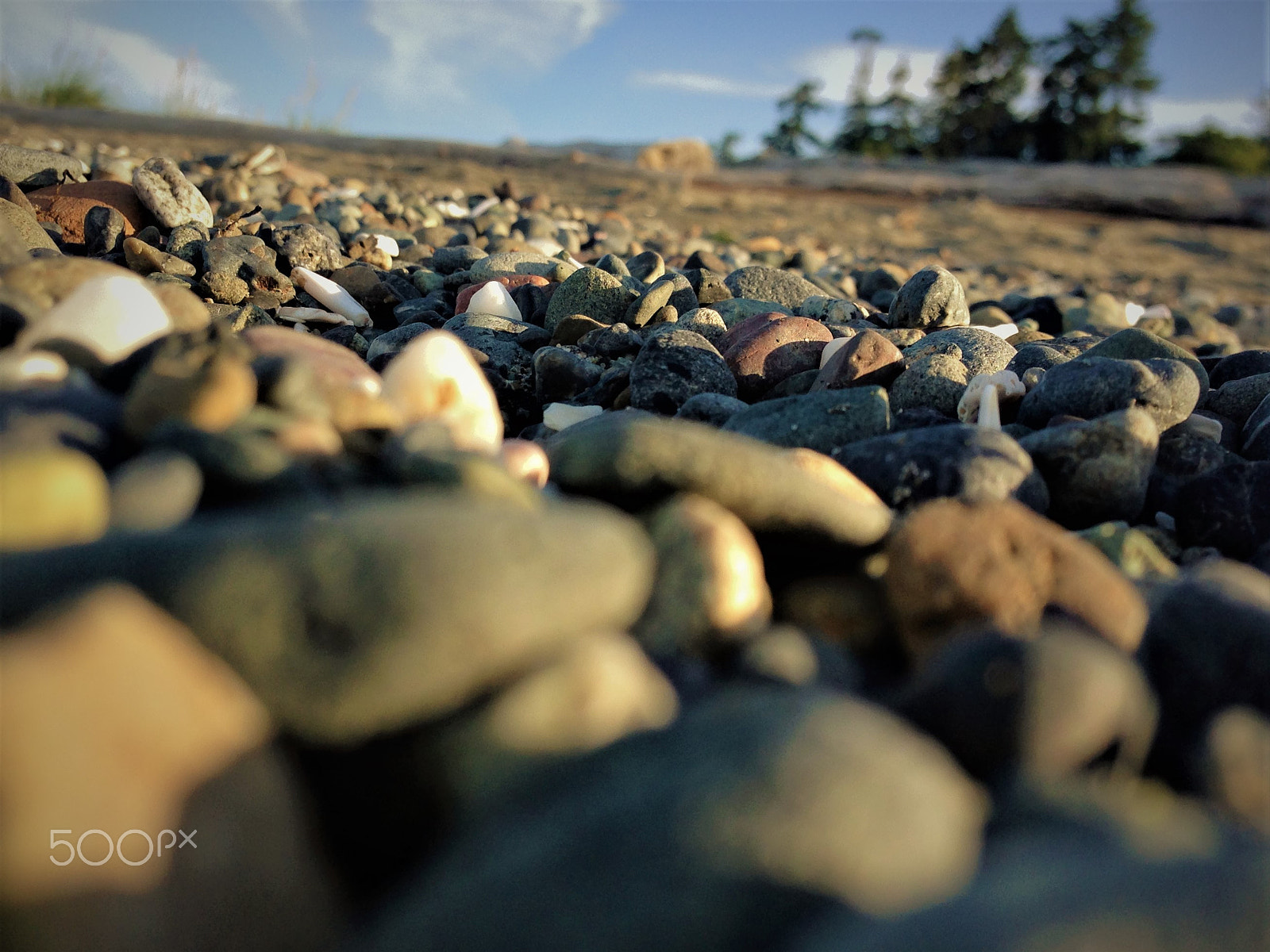Apple iPhone 5c sample photo. Pebbles by pines photography