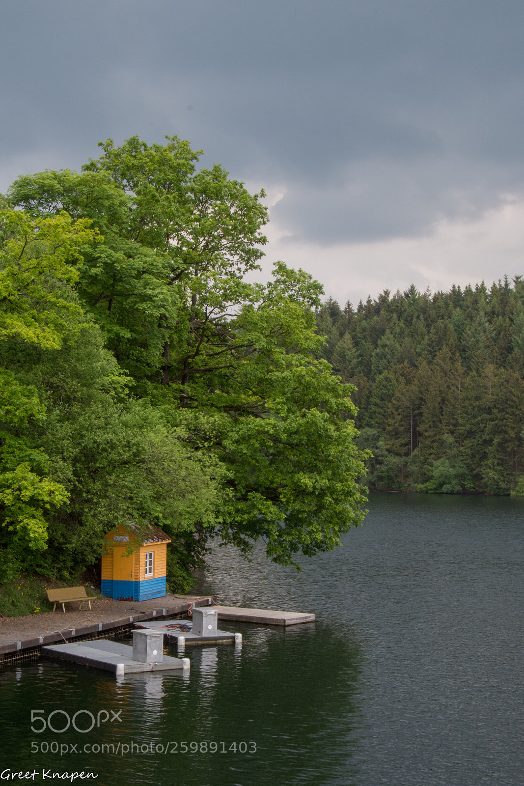 Nikon D7200 sample photo. Shelter from the rain photography