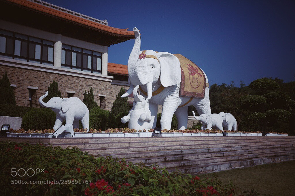 Canon EOS 5D Mark II sample photo. Untitled photography