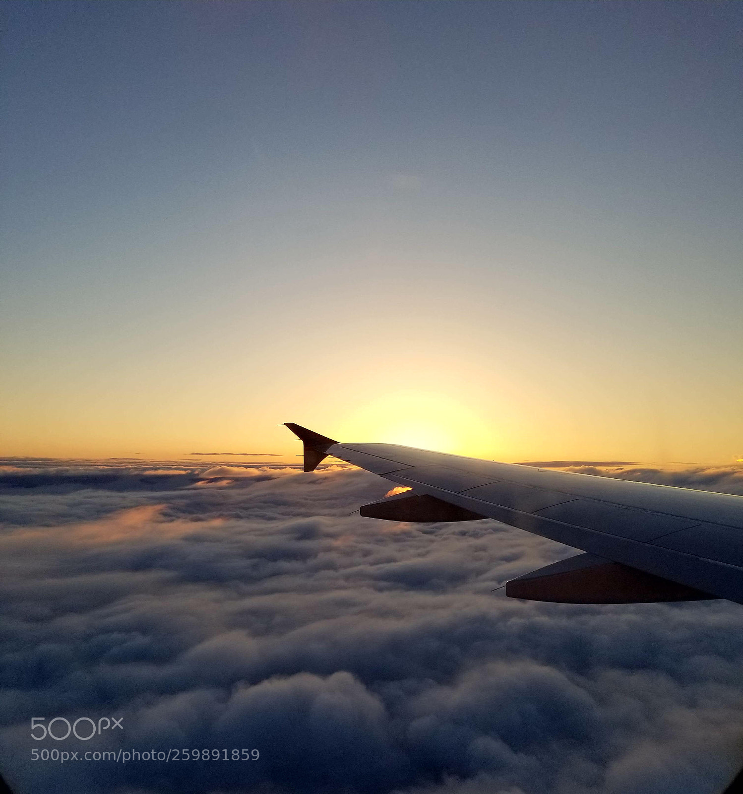 Samsung Galaxy S8 sample photo. Untitled photography