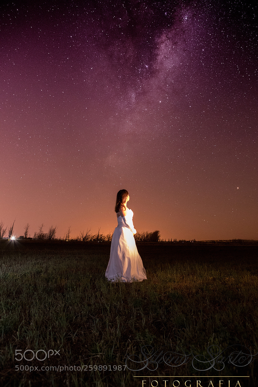 Canon EOS-1D X Mark II sample photo. Postboda photography