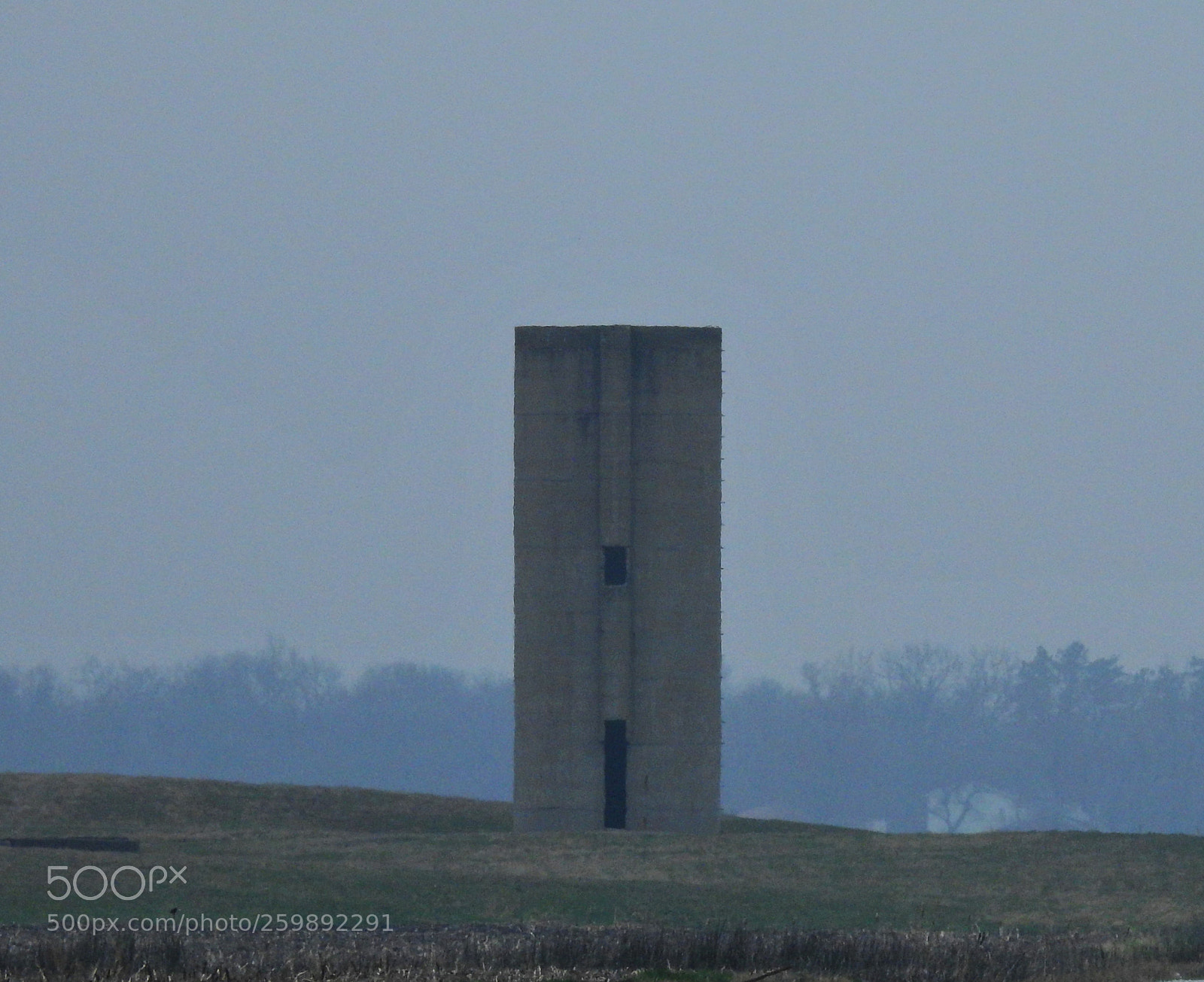 Nikon Coolpix P900 sample photo. Towering above photography