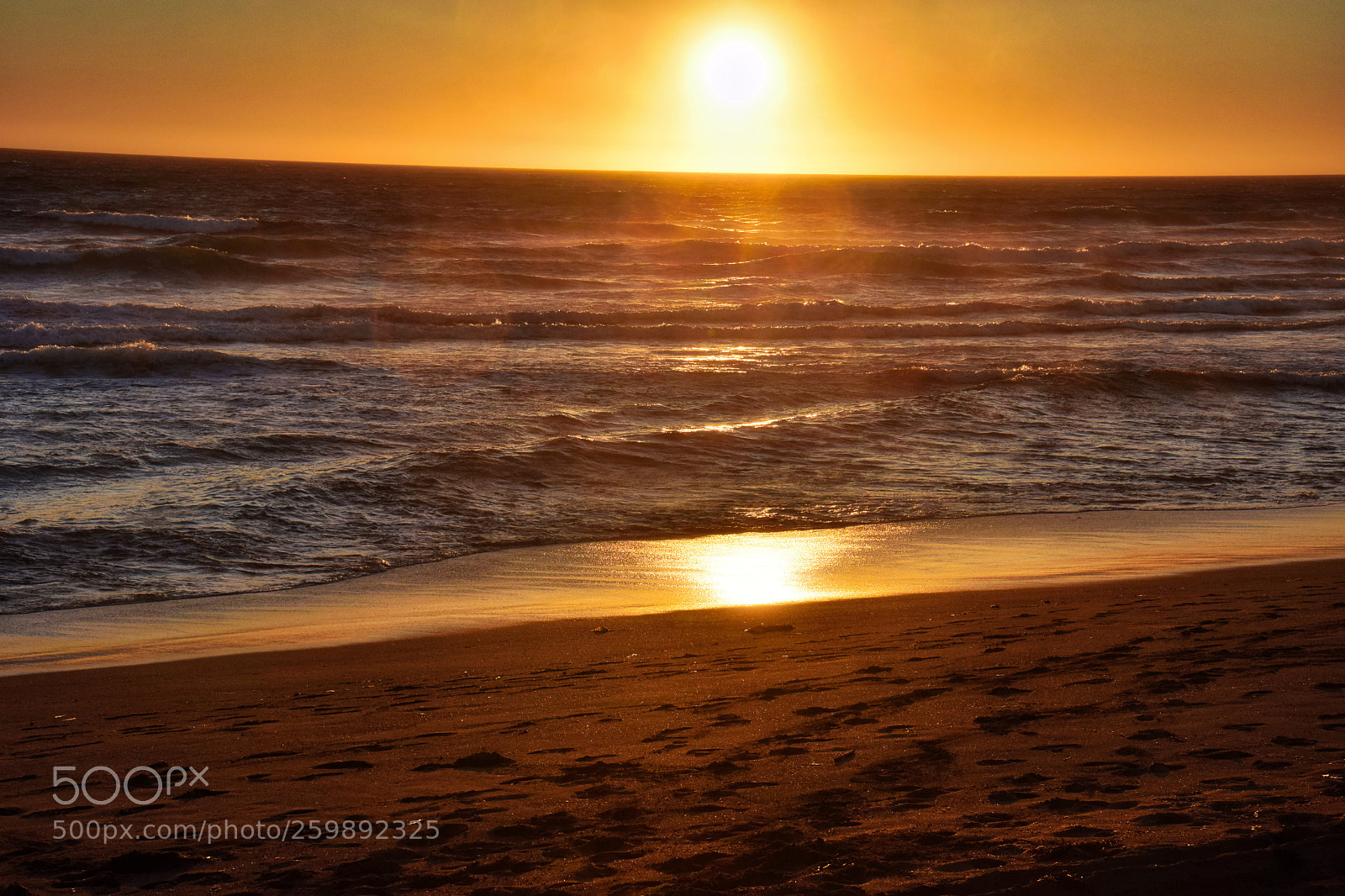 Nikon D5300 sample photo. Bodega beach sunset photography