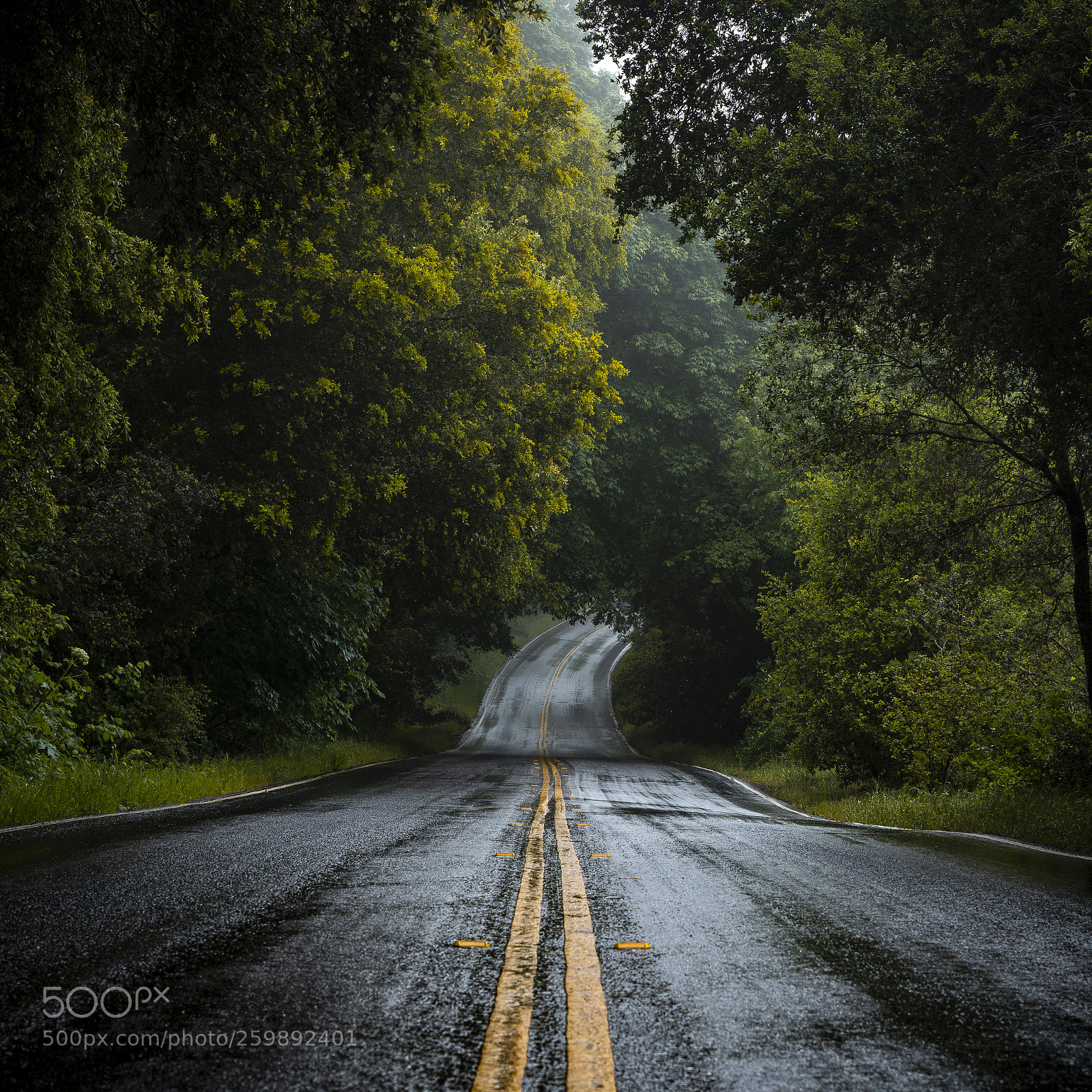 Sony a7R III sample photo. Untitled photography