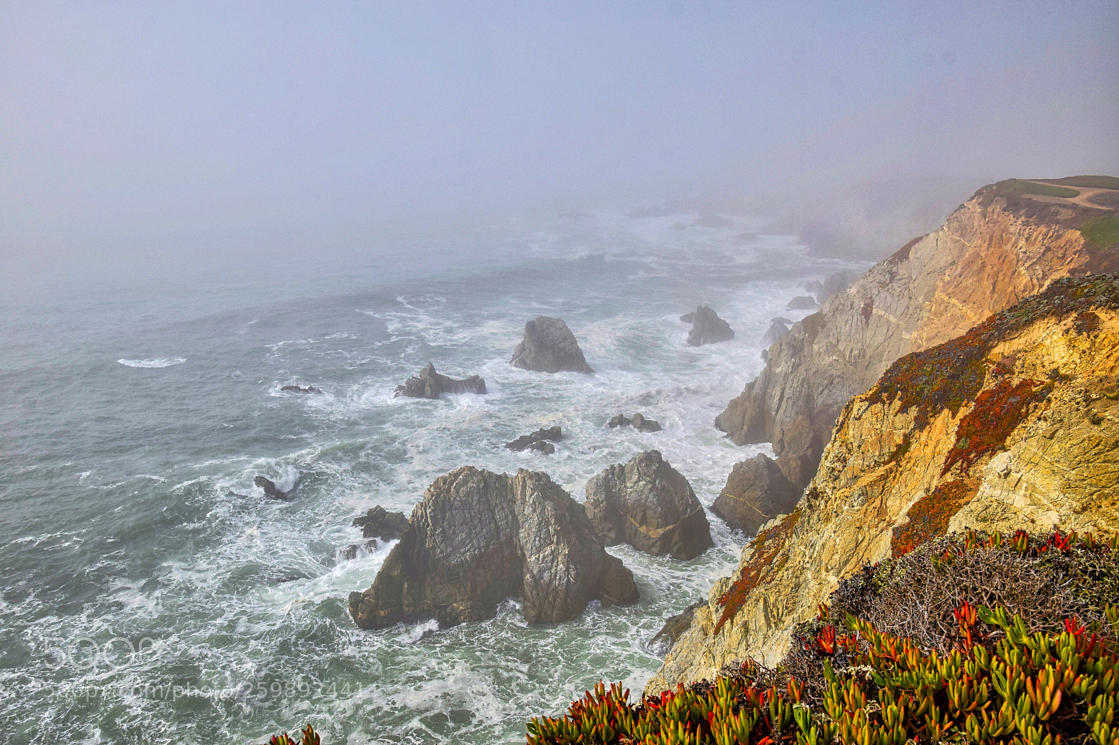 Nikon D5300 sample photo. Incoming fog at bodega photography