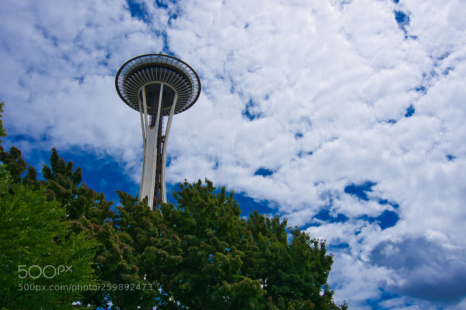 Sony a6000 sample photo. Space needle in summer photography