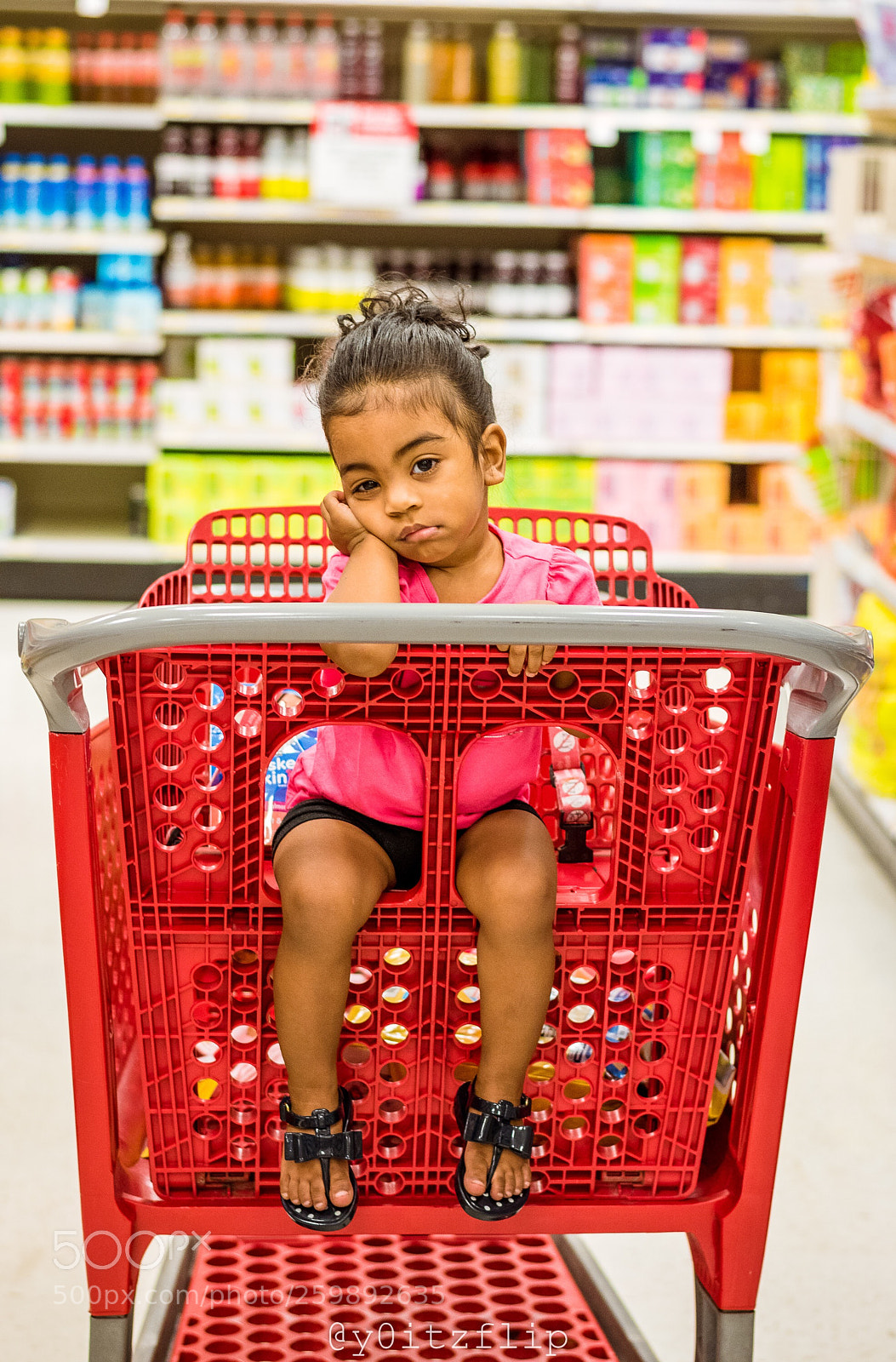 Nikon D5500 sample photo. Life in target photography