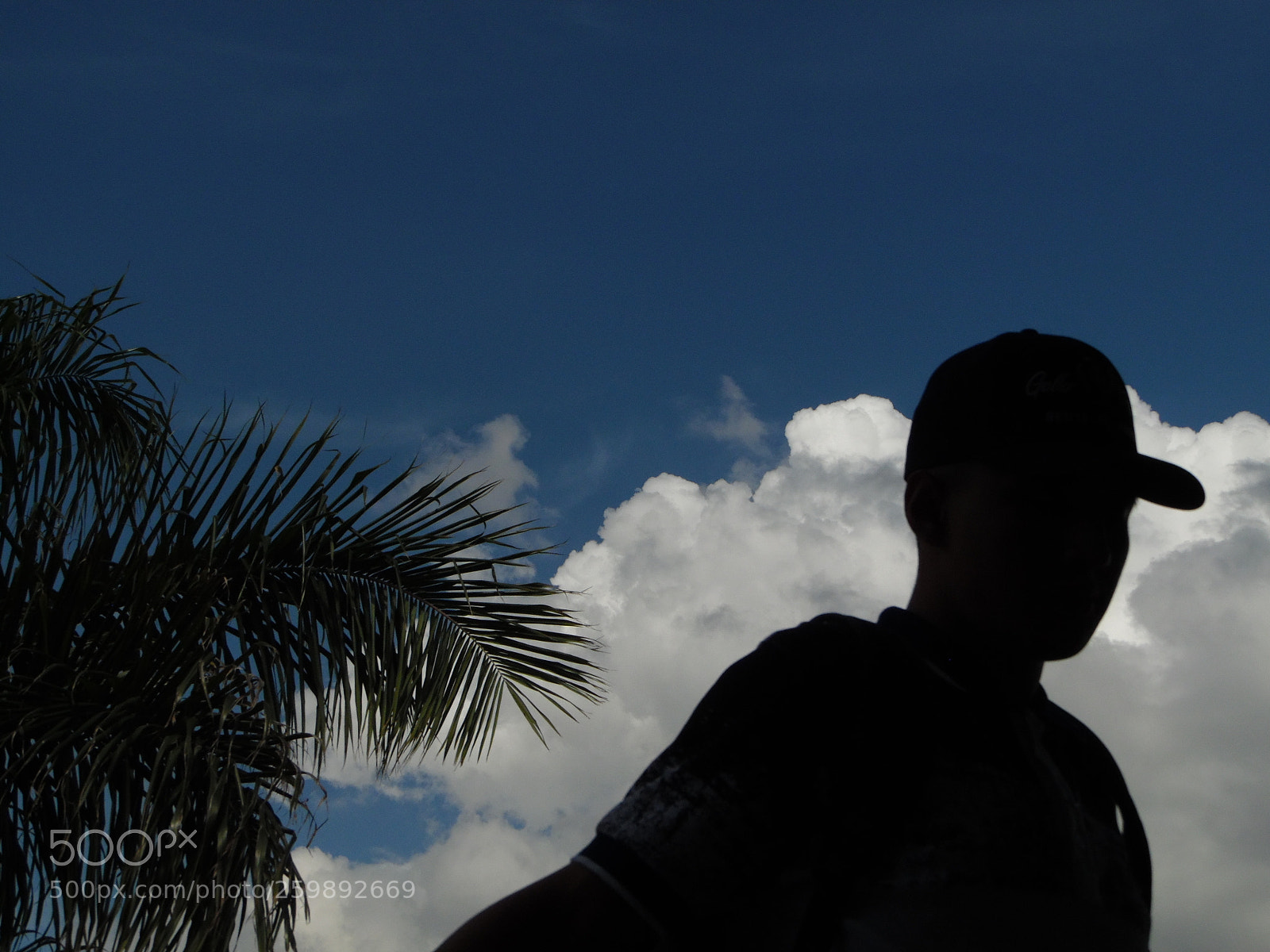 Samsung WB1100F/WB1101F/WB1102F sample photo. "cade" photography