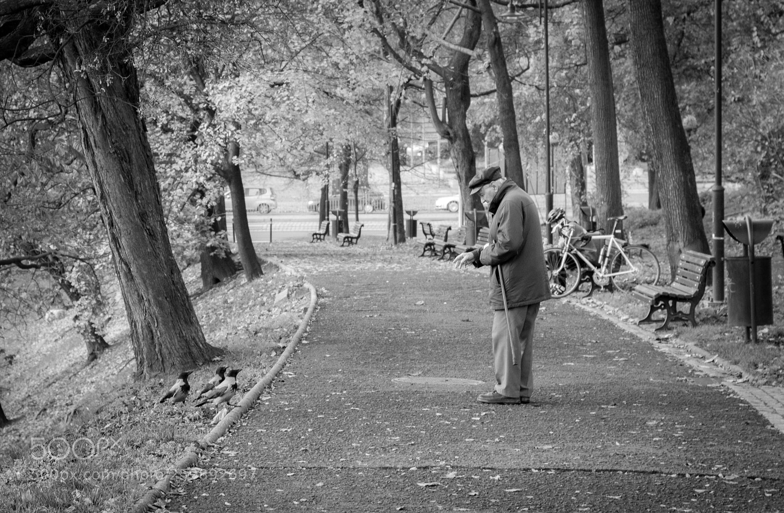 Nikon D3200 sample photo. Oldman with golden heart photography