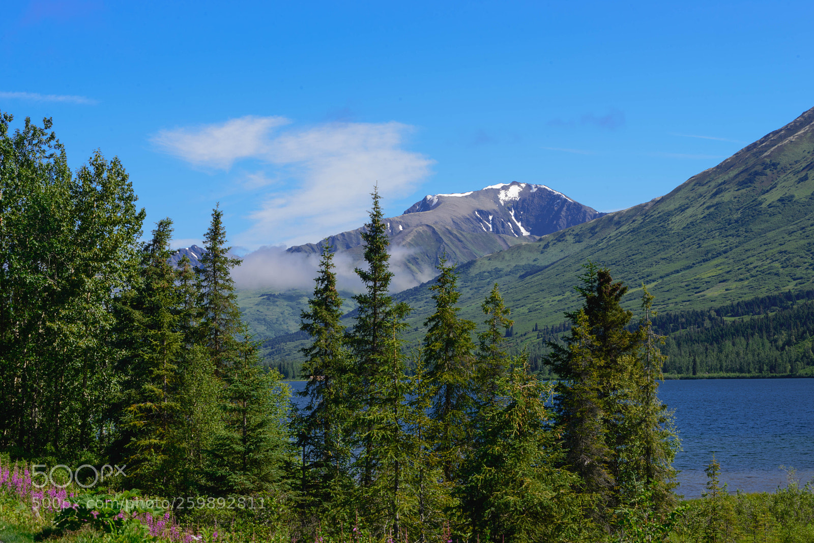 Nikon D600 sample photo. Kenai photography