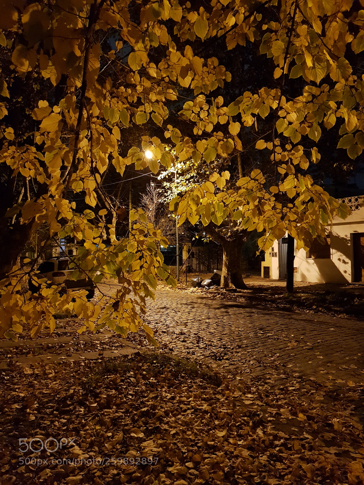 Samsung Galaxy S8 sample photo. Yellow night photography