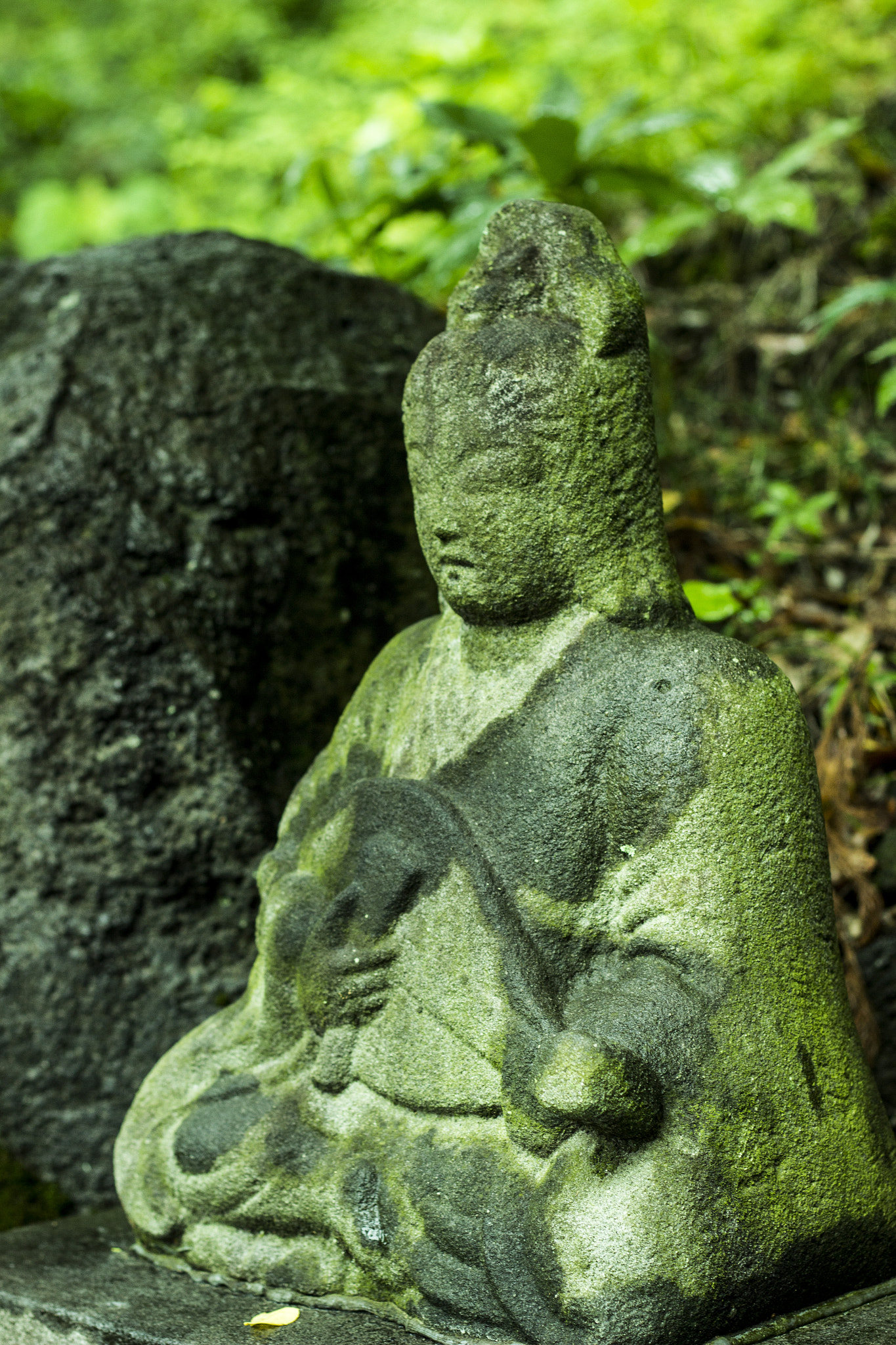 Canon EOS 600D (Rebel EOS T3i / EOS Kiss X5) sample photo. 弁財天 sarasvati photography