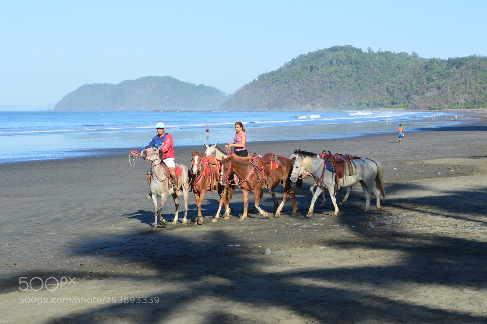 Nikon D3200 sample photo. Horses on the beach photography