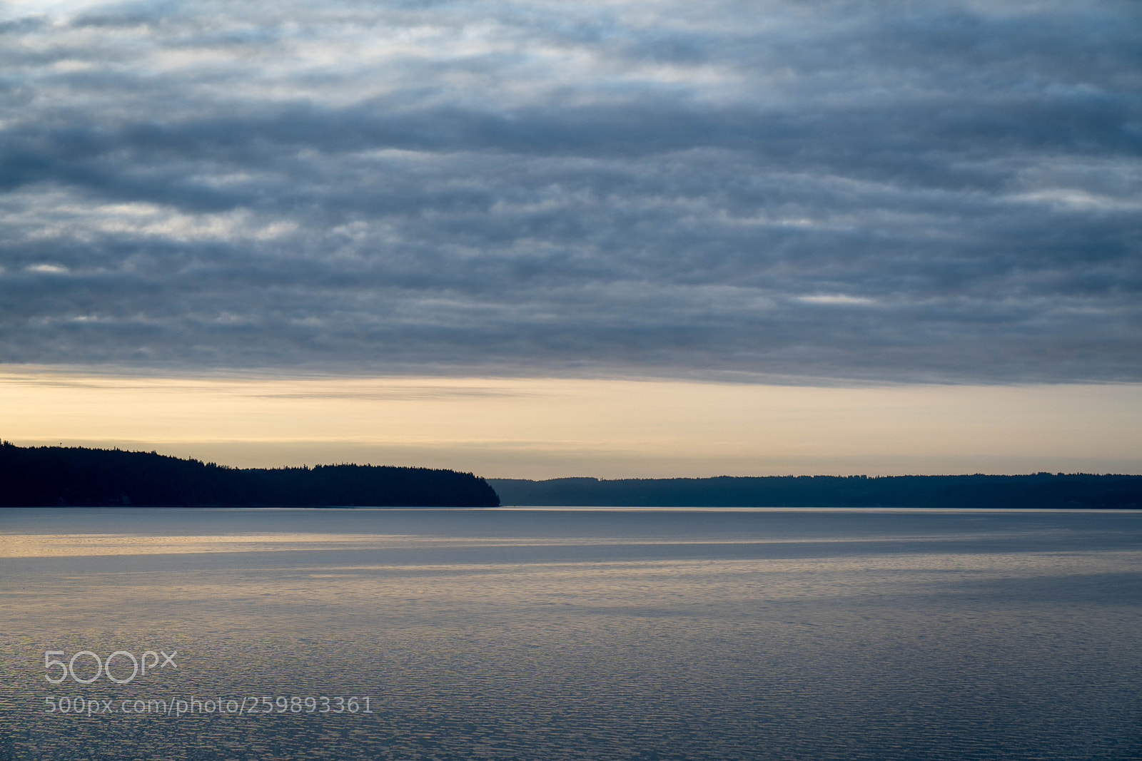 Sony a7R II sample photo. Brinnon morning photography