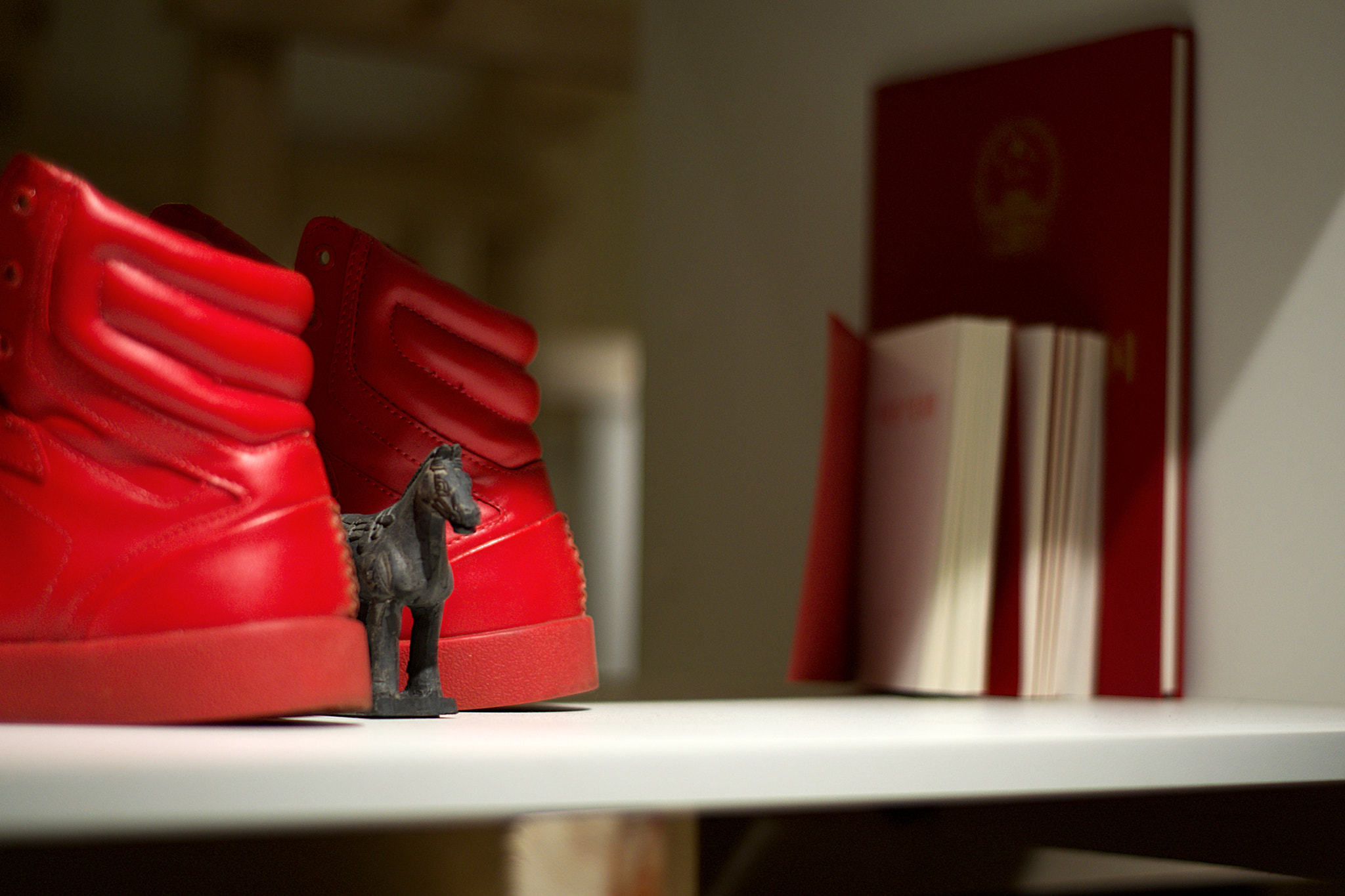 Nikon AF Nikkor 50mm F1.8D sample photo. Not a trojan horse, but close photography