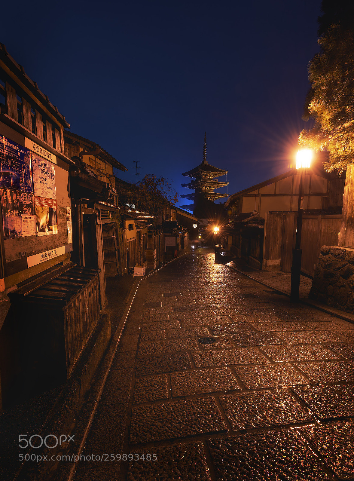Nikon D750 sample photo. Rainy night at yasaka photography