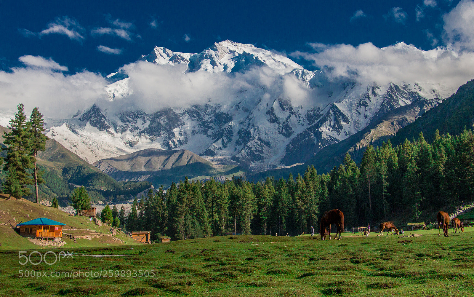 Canon EOS 70D sample photo. Fairy meadows photography