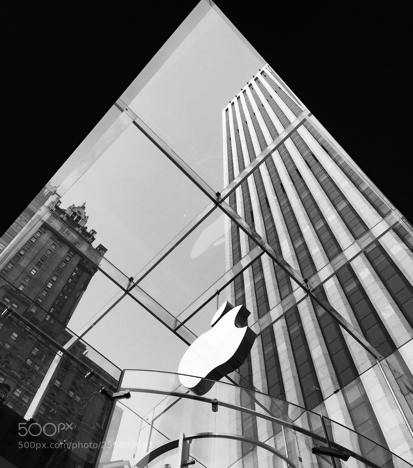 Apple iPhone 6 Plus sample photo. In the belly of photography