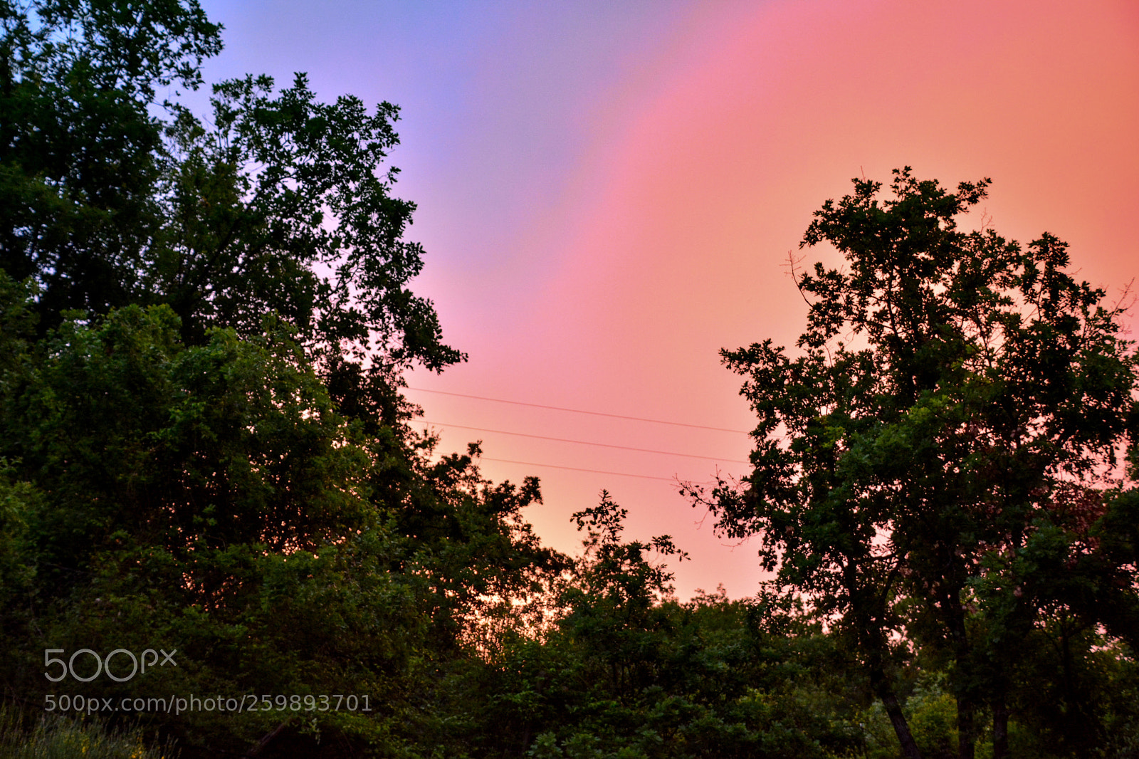 Nikon D5200 sample photo. Untitled photography