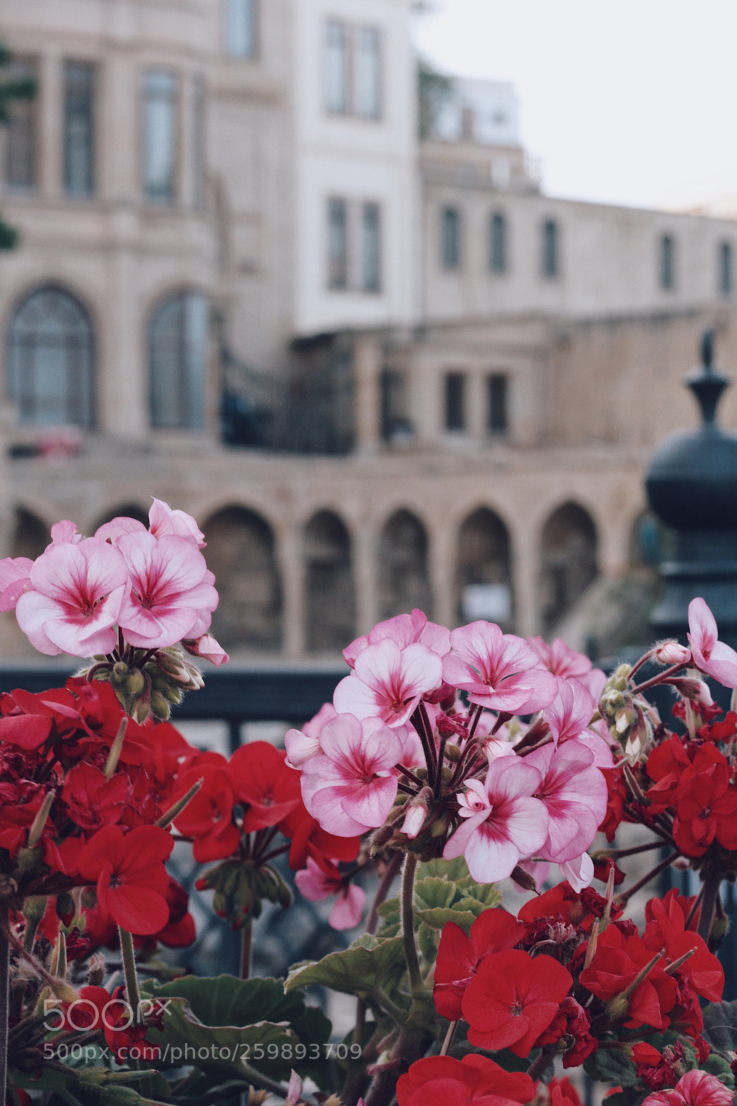 Nikon D7100 sample photo. Untitled photography