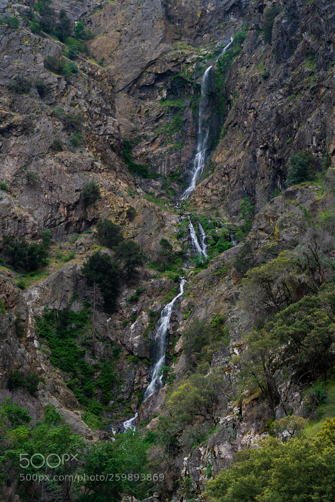 Sony a7R III sample photo. Long fall photography