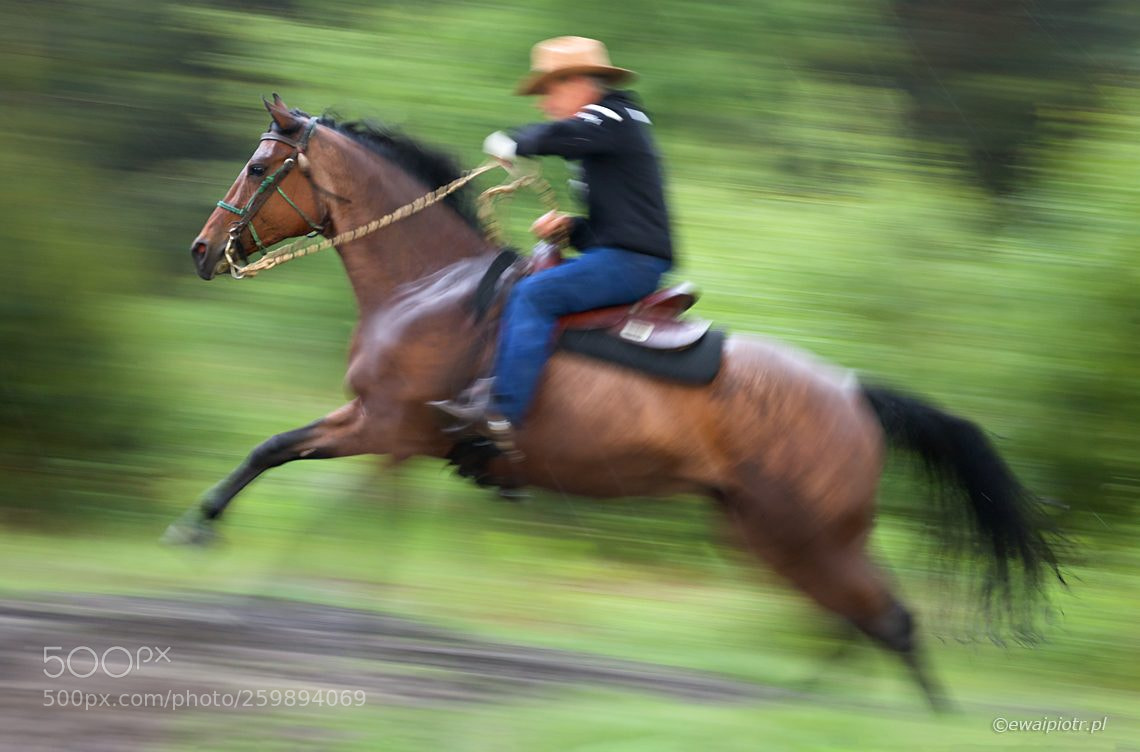 Canon EOS 7D Mark II sample photo. Run! photography