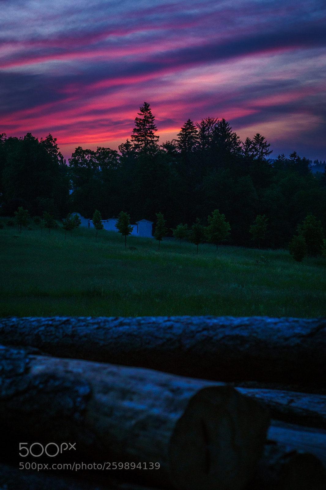 Sony a6000 sample photo. Untitled photography