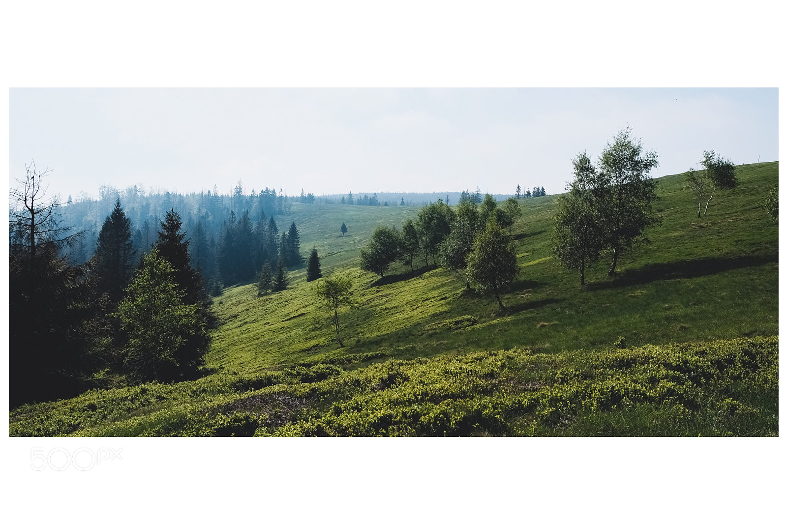Fujifilm X-E3 sample photo. Hala radziechowska photography