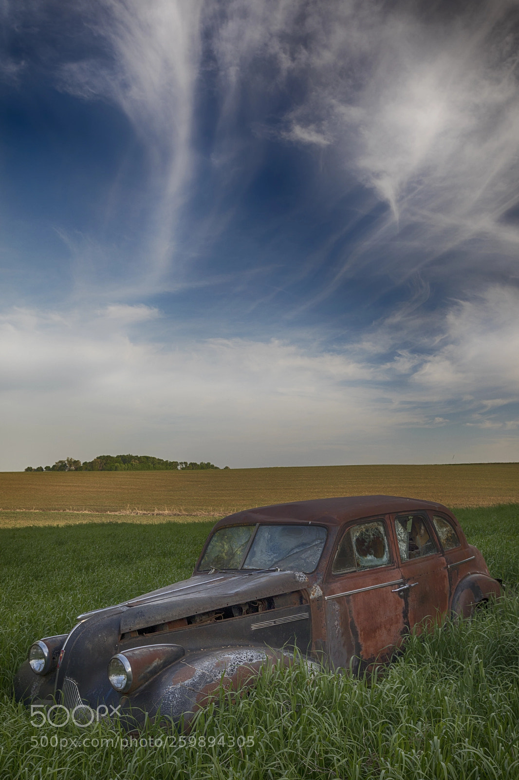Canon EOS 5D Mark IV sample photo. Treasure in the greasses photography