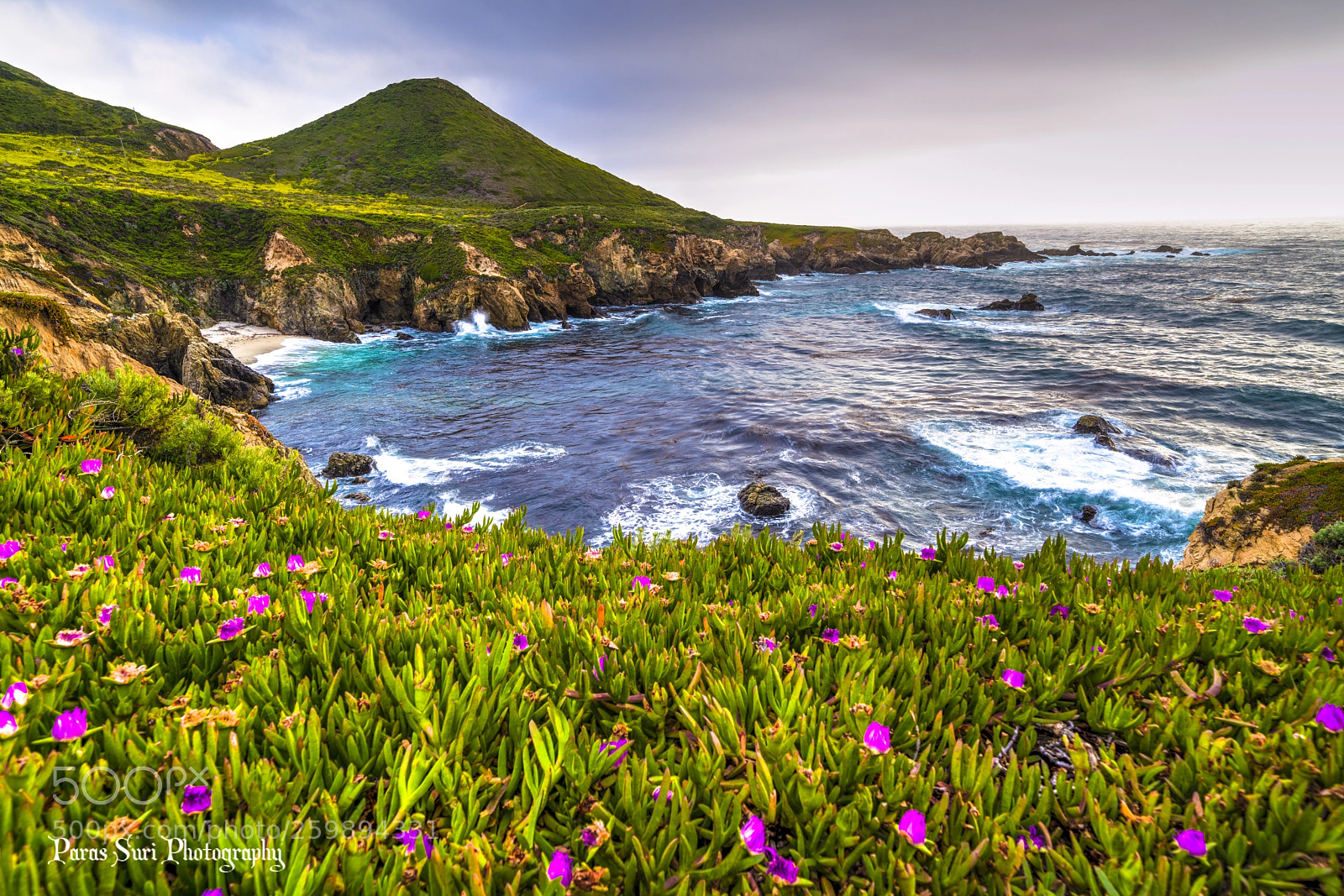 Sony a7R III sample photo. Beautiful evening at soberanes photography