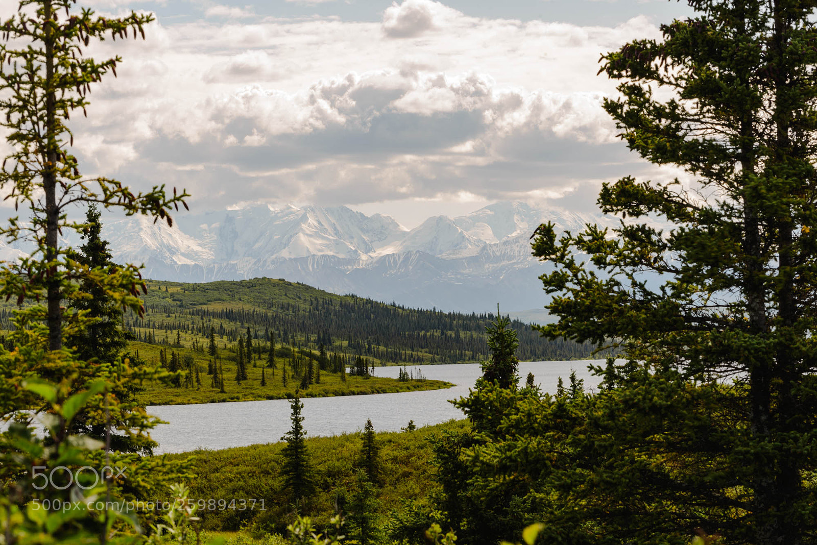 Nikon D600 sample photo. Denali and mirror lake photography