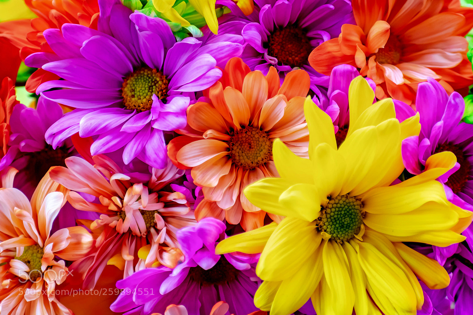 Nikon D3400 sample photo. Bouquet photography