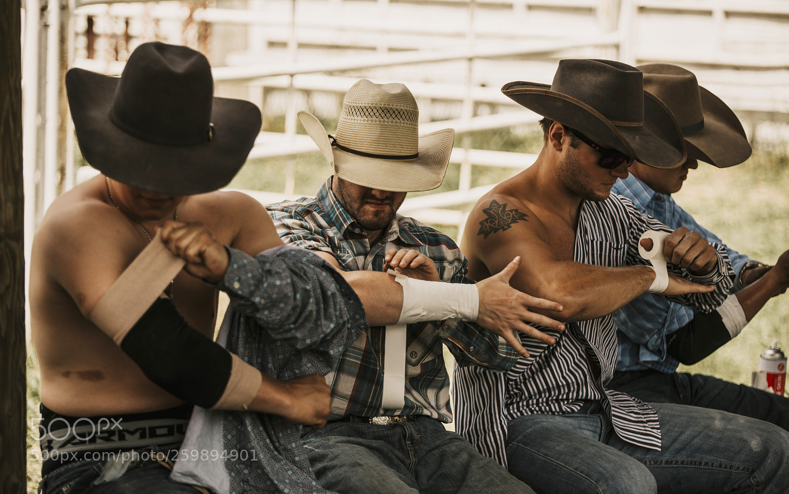 Nikon D810 sample photo. Falkland stampede 2018 photography