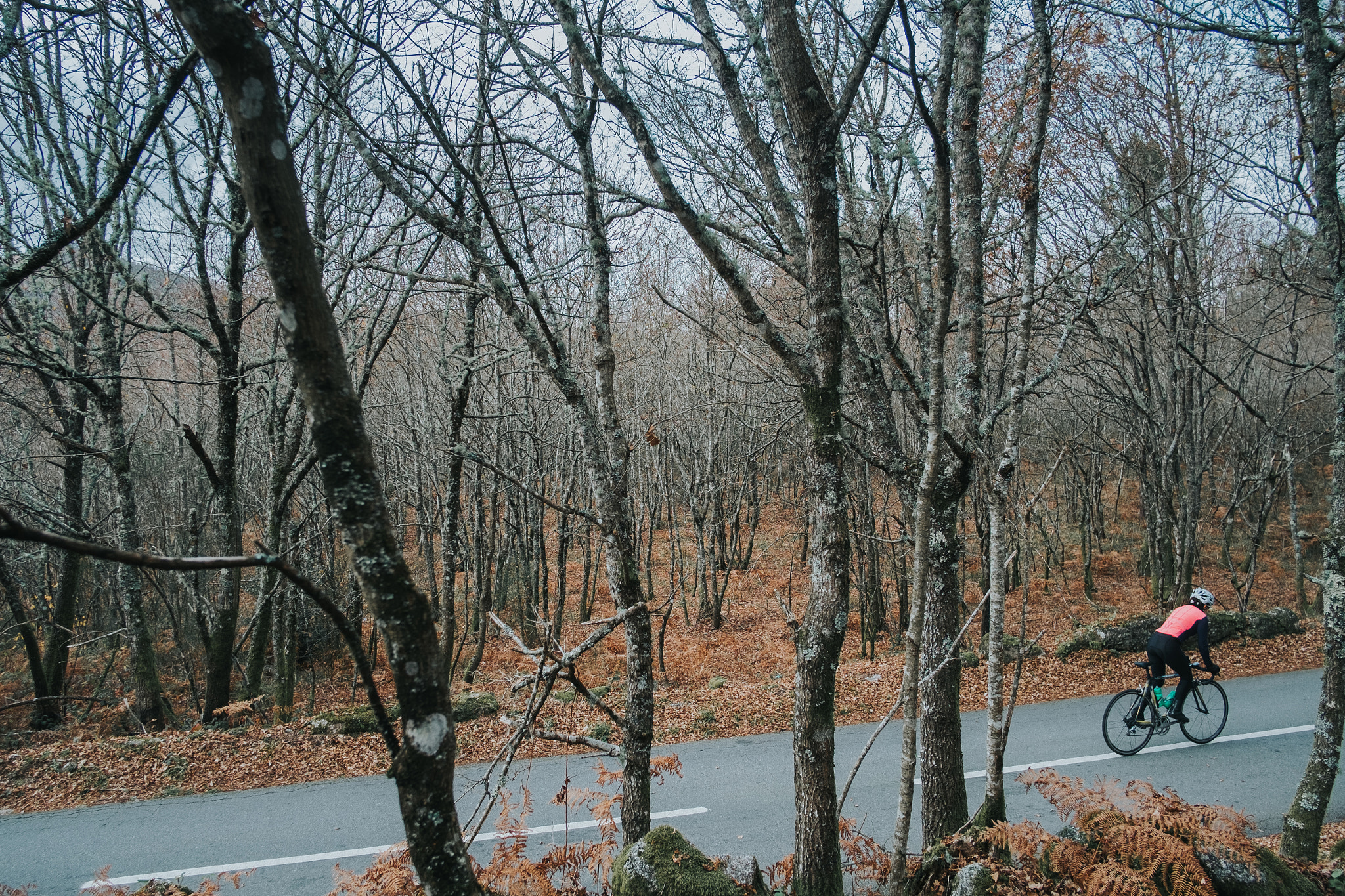 Fujifilm X-Pro1 sample photo