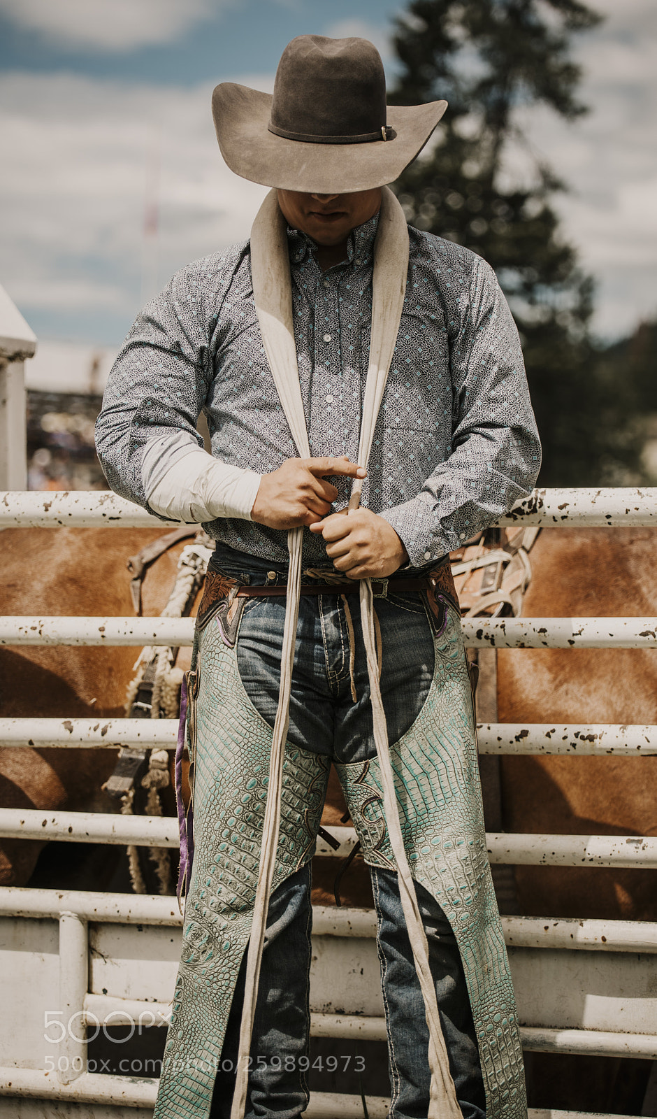 Nikon D810 sample photo. Falkland stampede 2018 photography