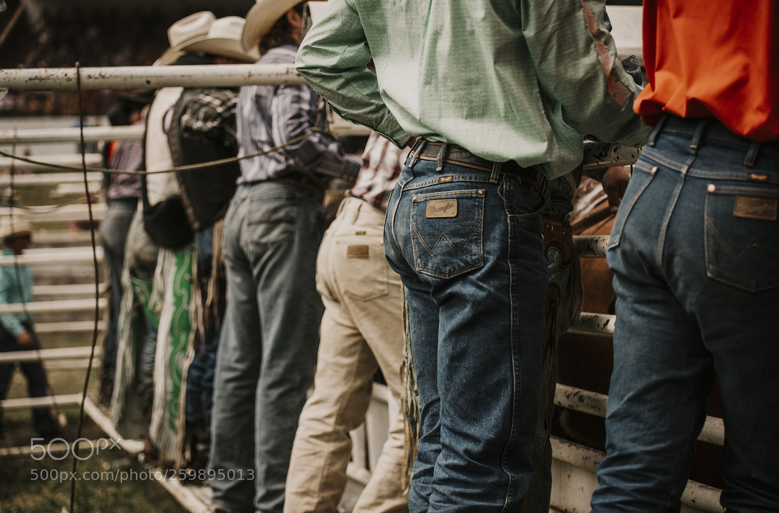Nikon D810 sample photo. Falkland stampede 2018 photography