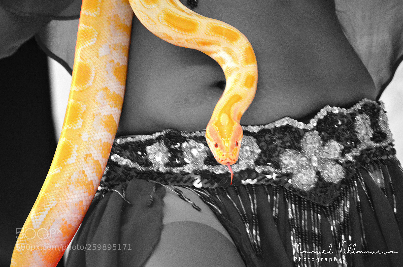 Nikon D5100 sample photo. Snake... photography