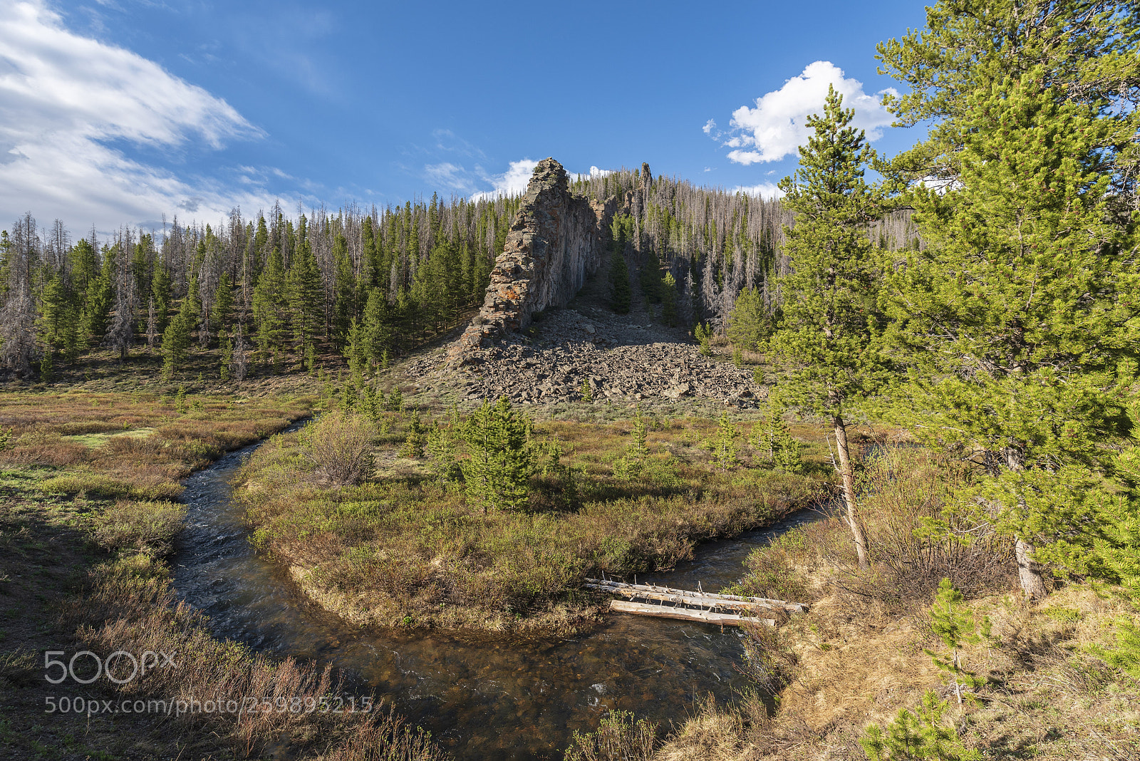 Nikon D750 sample photo. A slice of earth photography