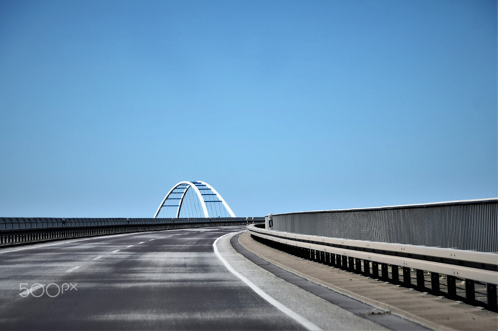 Sigma 18-250mm F3.5-6.3 DC Macro OS HSM sample photo. Where do you go? photography