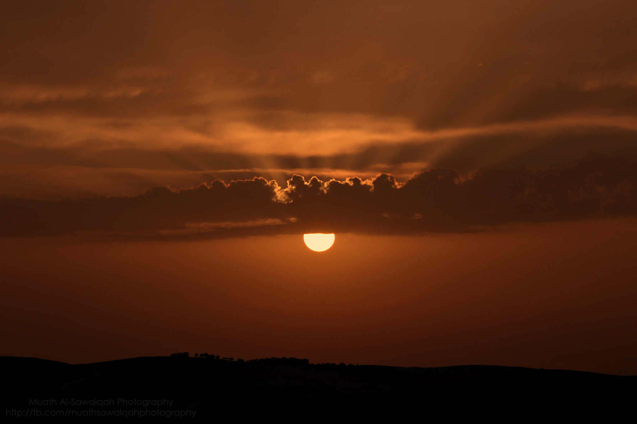 Canon EF 75-300mm f/4-5.6 sample photo