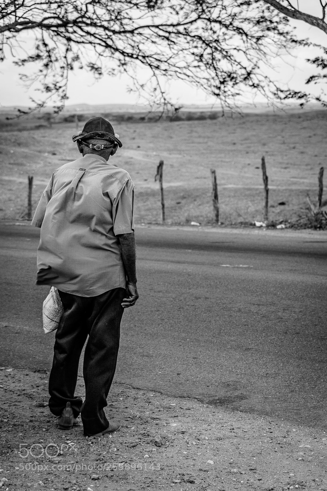 Nikon D5500 sample photo. By the road photography